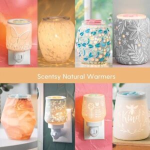 Scentsy Natural Warmers 600 × 600 px