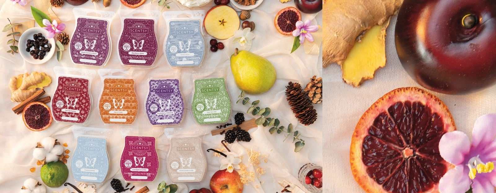 Scentsy New Fall Fragrances FW22
