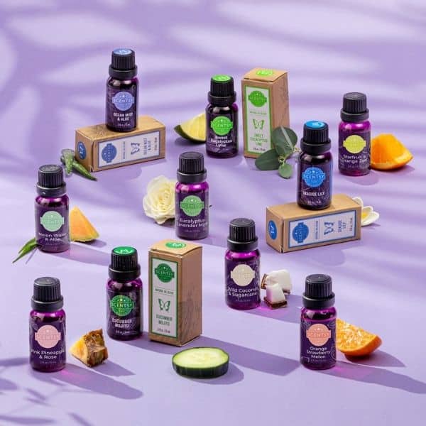 Scentsy outlet diffuser oils