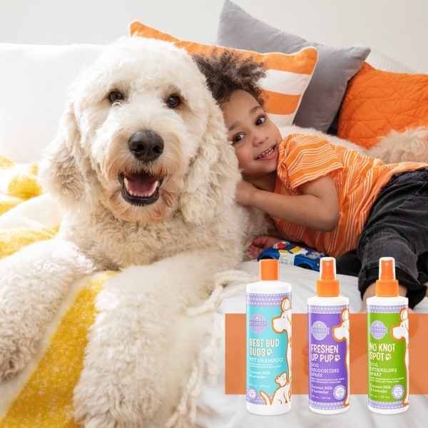 Scentsy Pets 2022 | Scentsy® Online Store | Scentsy Warmers & Wax | Incandescent.Scentsy.us  