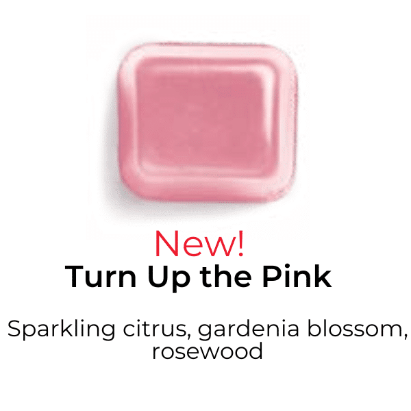 Pink Awareness Scentsy Wax Bundle | Breast Cancer Awareness