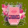 Pink Poinsettia Scentsy Brick | Holiday 2021