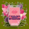 Scentsy Pink Poinsettia Brick 2021 Holiday1