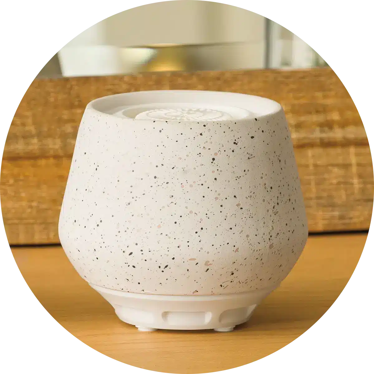 Scentsy Fan Diffusers, Air Purifier, Pods | Shop Online