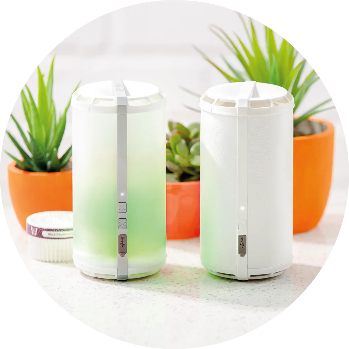 Scentsy Fan Diffusers, Air Purifier, Pods | Shop Online