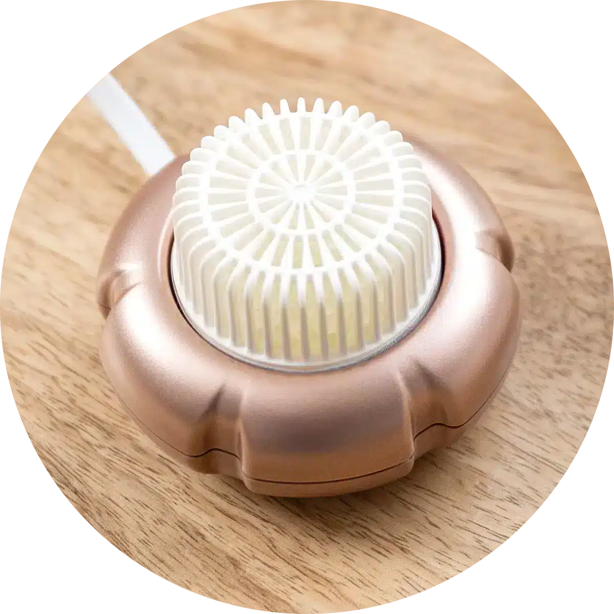 Scentsy Fan Diffusers, Air Purifier, Pods | Shop Online