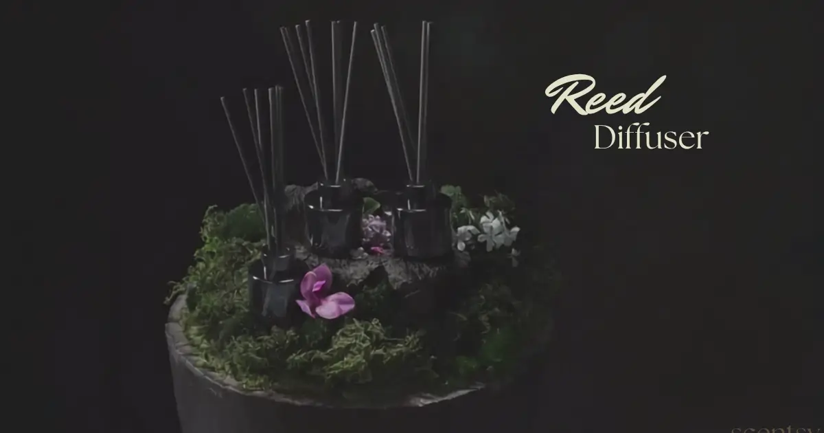 Introducing Scentsy Reed Diffusers Introducing Scentsy Reed Diffusers