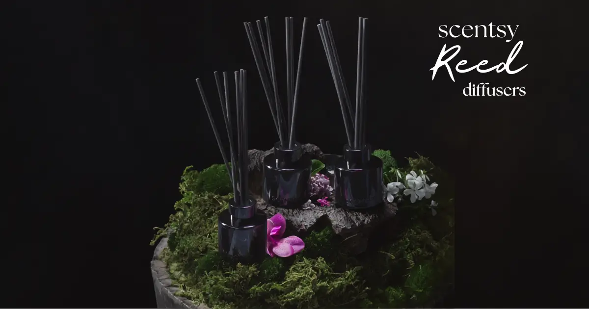 Introducing Scentsy Reed Diffusers Introducing Scentsy Reed Diffusers