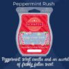 Peppermint Rush Scentsy Bar | Scents of the Season 2023