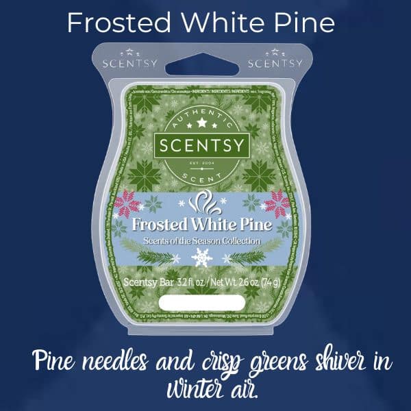 Scentsy Scents Of The Season 20234 Frosted White Pine Scentsy Bar | Scents of the Season 2023