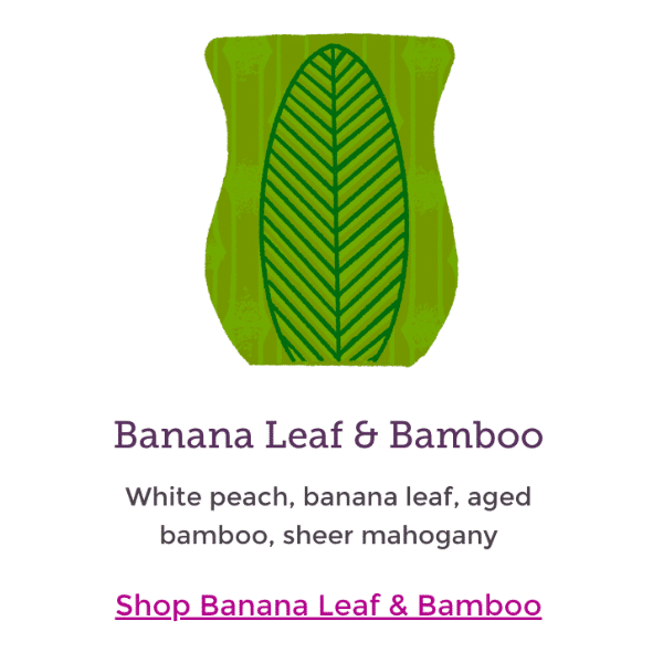 Scentsy Spring 2023 New Scents1