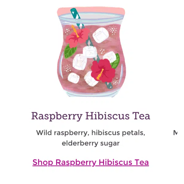 Scentsy 2023 Spring Summer Catalog | Incandescent.Scentsy.us