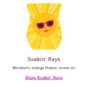 Soakin' Rays Scentsy Bar