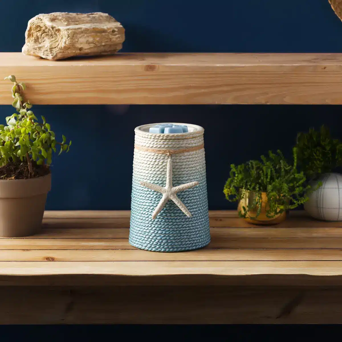 View the Scentsy 2024 Spring Summer Catalog