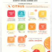 SCENTSY COMPLETE SCENT LIST FOR SPRING SUMMER 2019