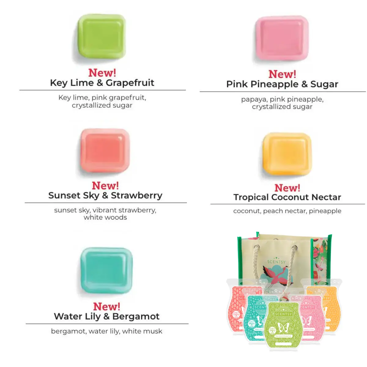 Scentsy 2024 Summer Collection