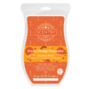 Sweet Orange Pomander Scentsy Brick | Holiday 2021