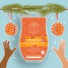 Sweet Orange Pomander Scentsy Brick | Holiday 2021