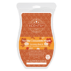 Scentsy Vanilla Cinnamon Mape Brick 2021 Holiday2