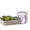 Suc-cute-Lent Scentsy Warmer Bundle | October 2022