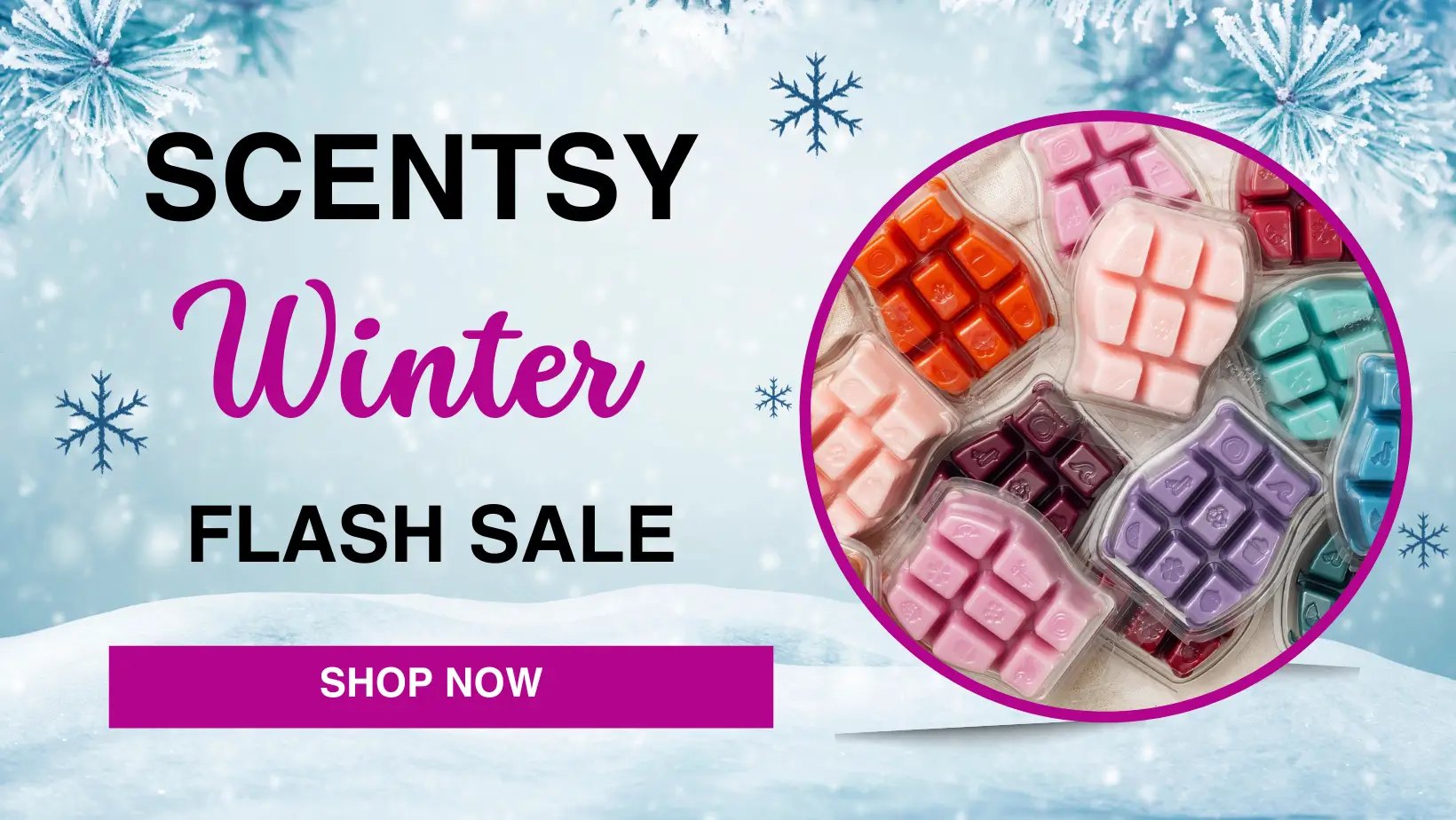 Scentsy January 2024 Flash Sale