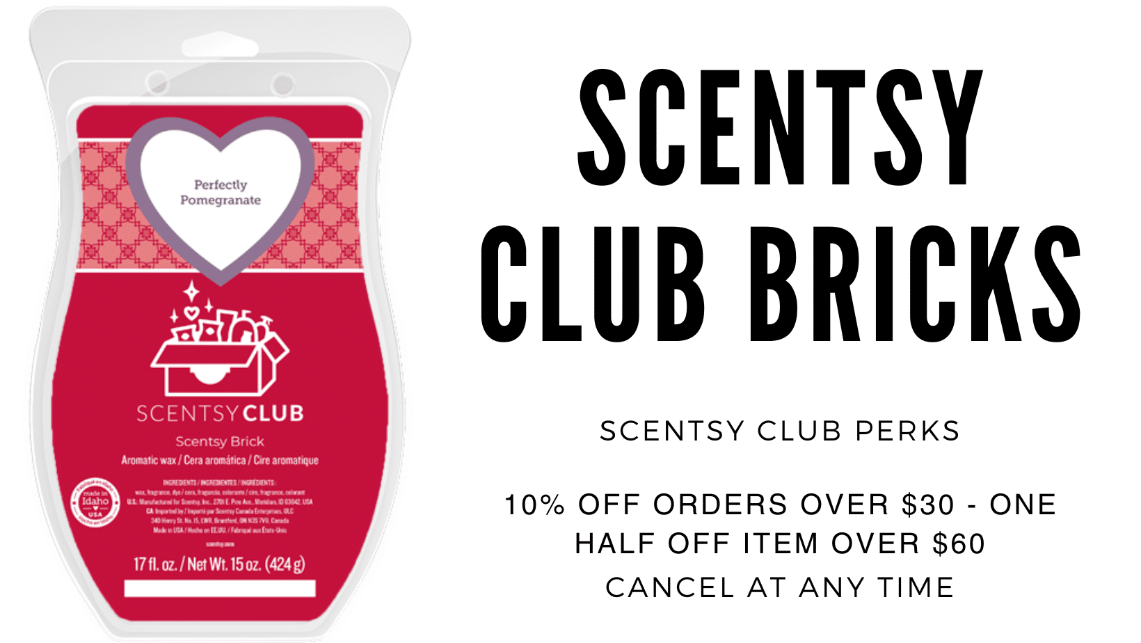 Scentsy club bricks 2