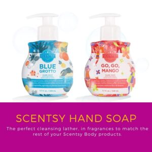 SCENTSY HAND SOAP