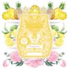 Pineapple Rose Scentsy Scent Circle | January 2023