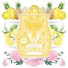 Scentsy pineapple rose ingredients and notes