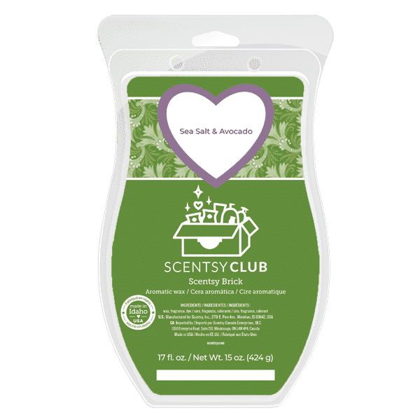 Sea Salt Avocado Scentsy Brick Sea Salt Avocado Scentsy Brick