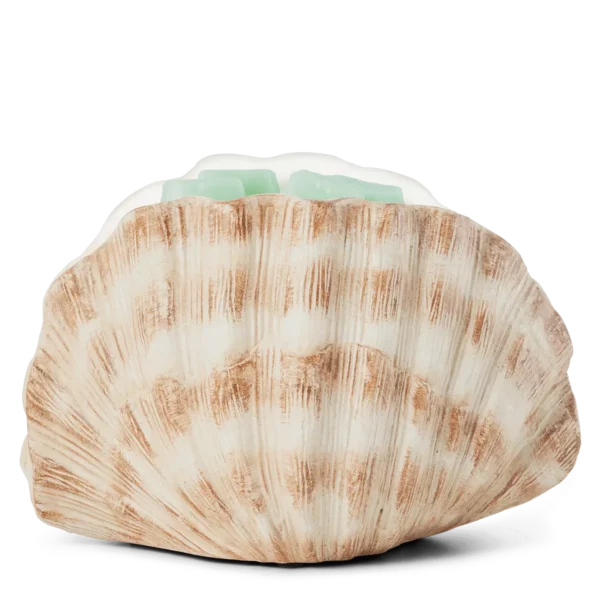 Seashell Scentsy Warmer