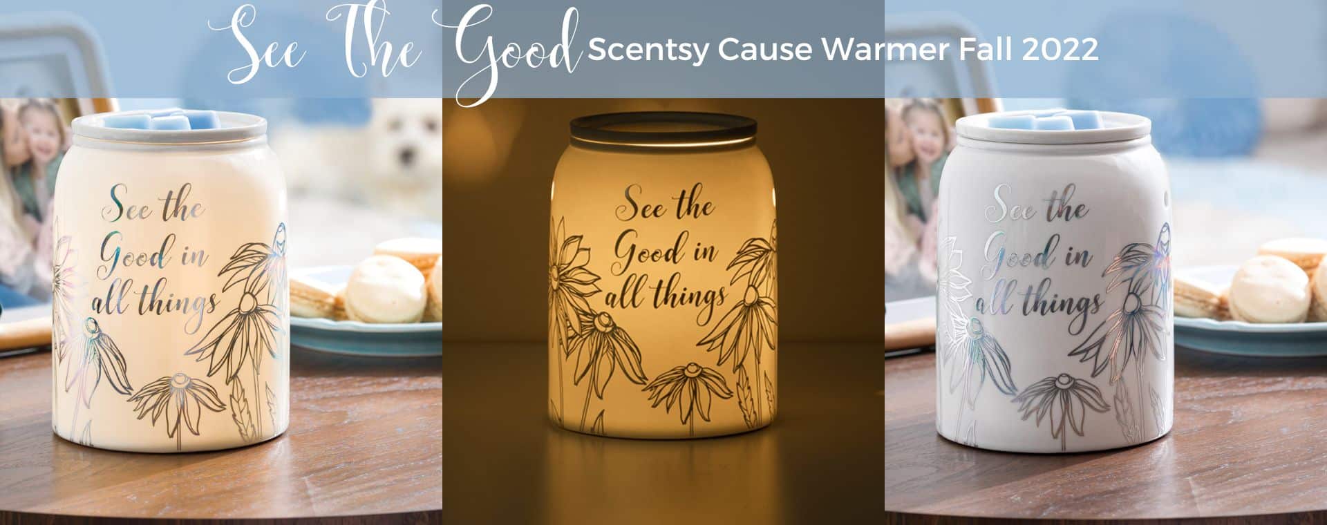 See the Good Scentsy Cause Warmer