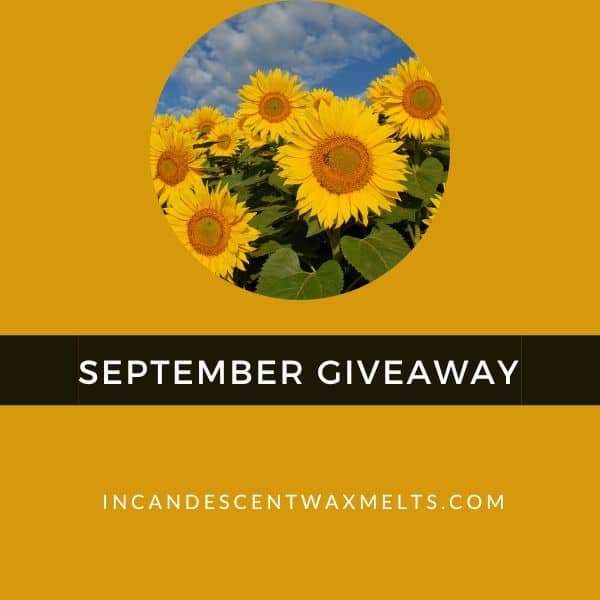September 2022 GIVEAWAY 600 × 600 px