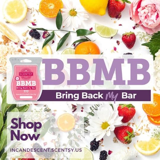 Shop June 2020 SCENTSY BRING BACK MY BAR 1