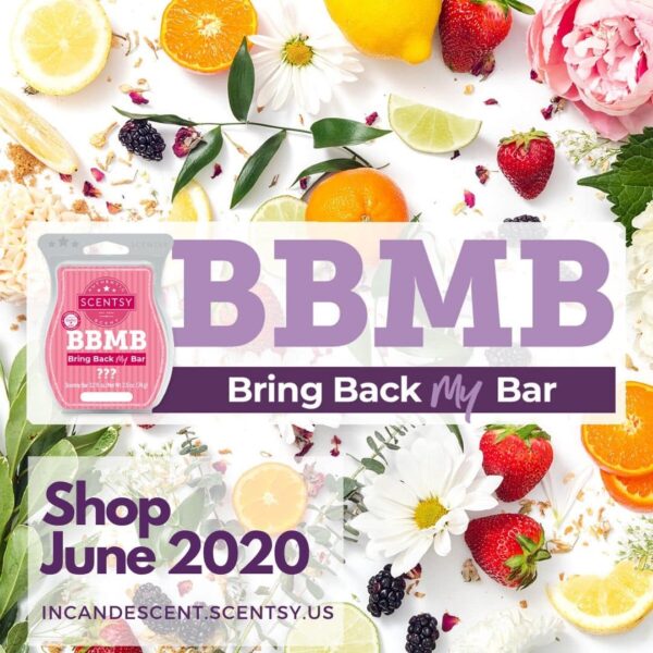 Shop June 2020 SCENTSY BRING BACK MY BAR