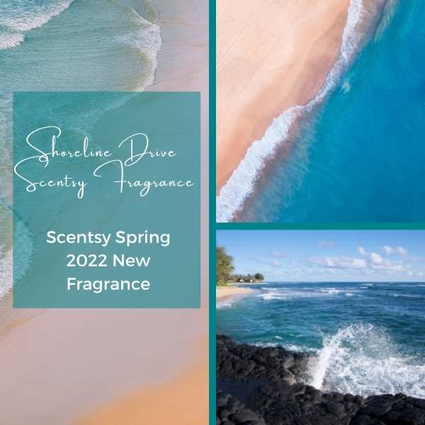 Shoreline Drive Scentsy Fragrance 600 x 600 px