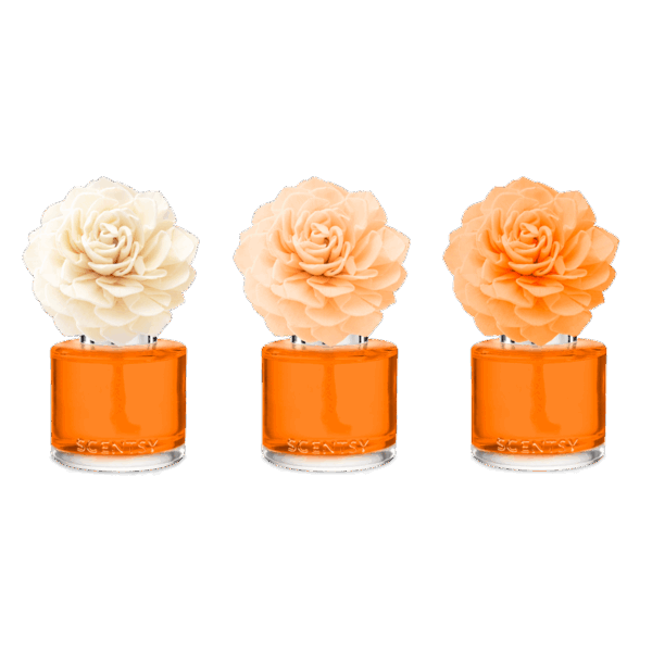 Simply the Zest Scentsy Fragrance Flower | Valentine's Day 2024