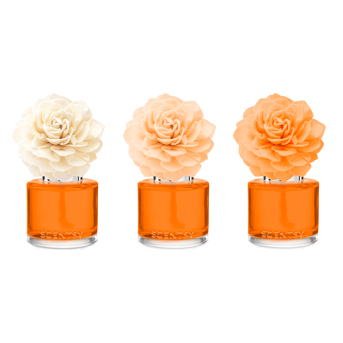 Simply the Zest Scentsy Fragrance Flower | Valentine's Day 2024