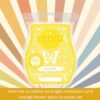 Soakin' Rays Scentsy Bar