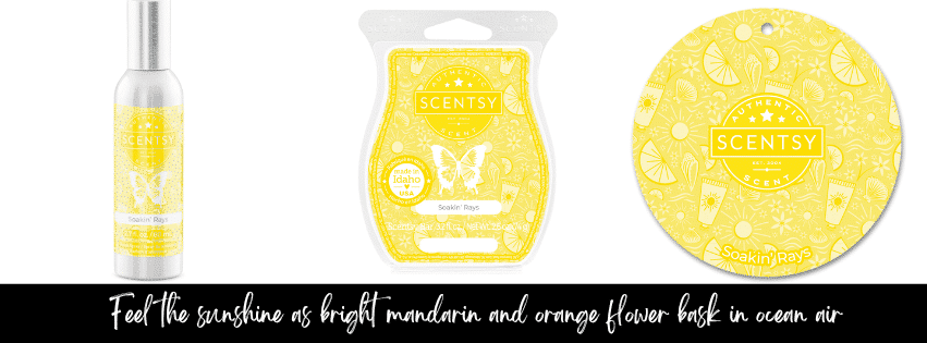 Soakin' Rays Scentsy Bar
