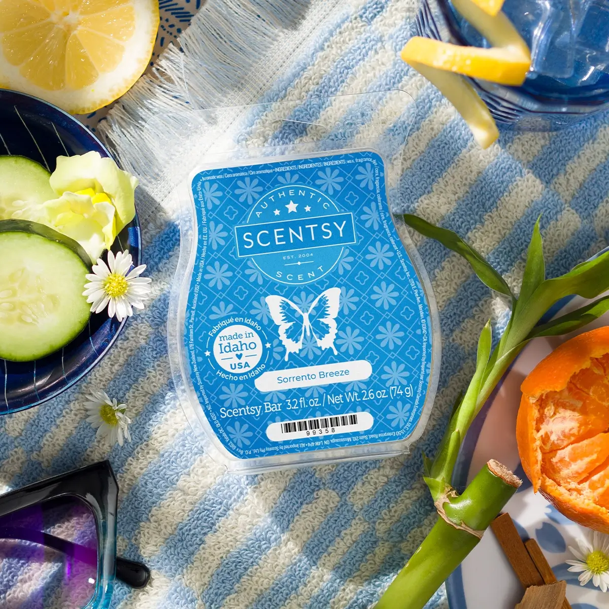 Scentsy 2025 Summer Destinations Collection | Shop 6/1