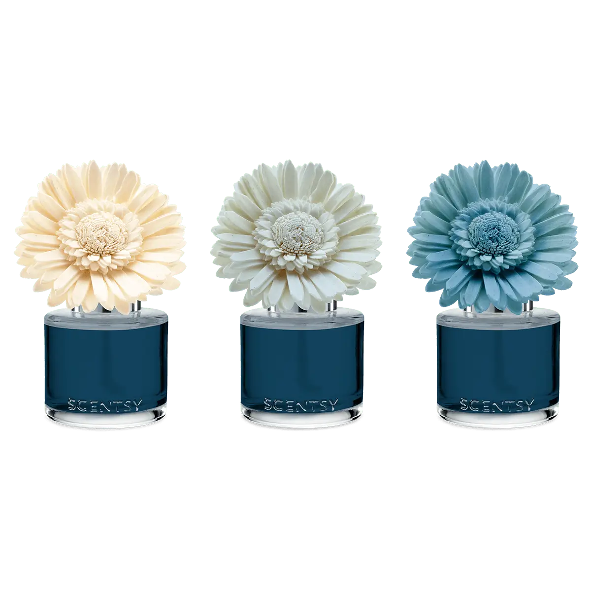 Sorrento Breeze Scentsy Fragrance Flower
