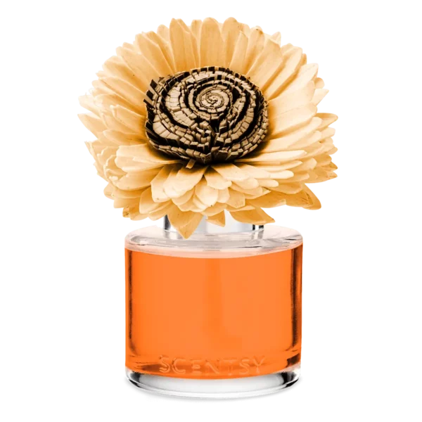 Sparkling Spiced Citrus Sunflower Scentsy Fragrance Flower