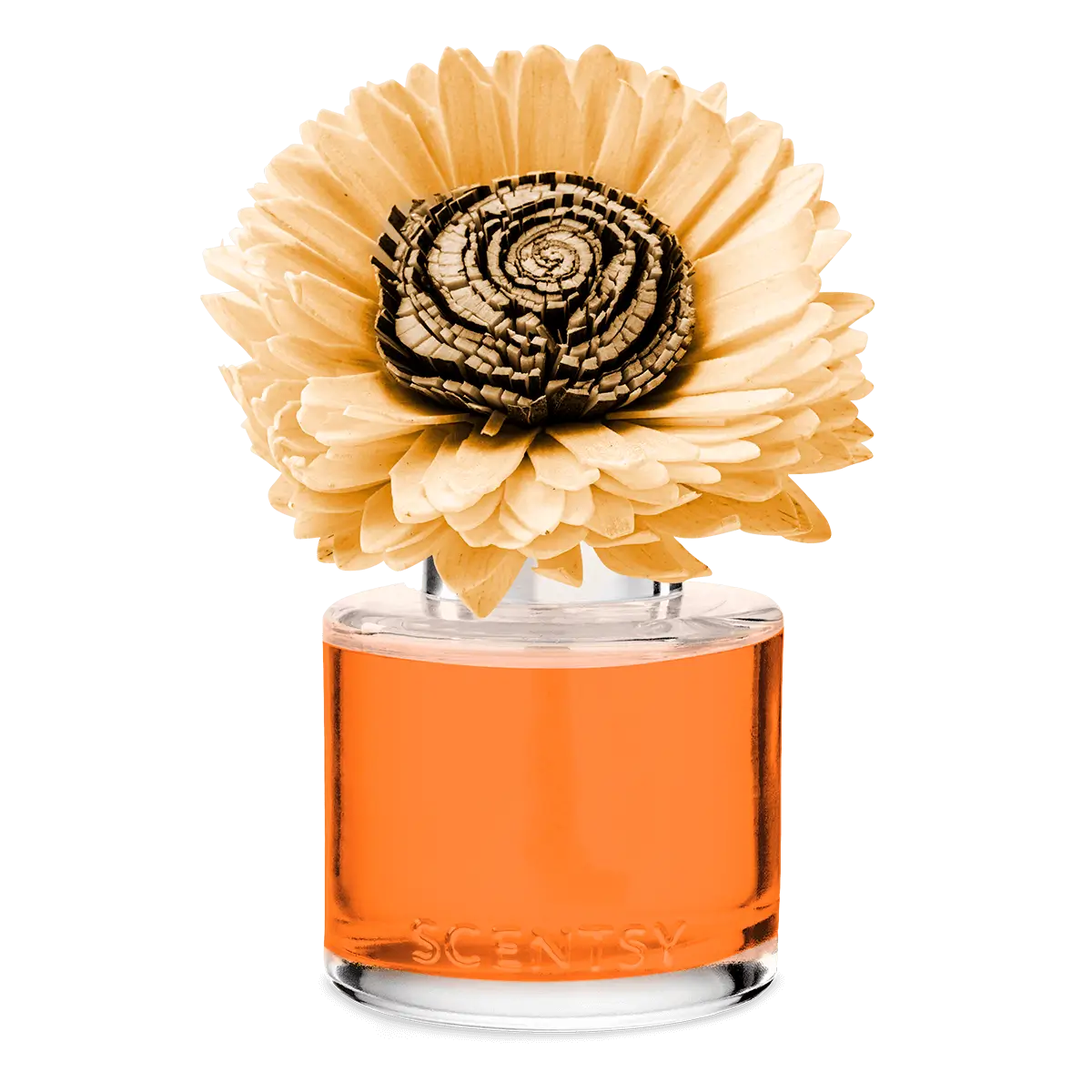 Sparkling Spiced Citrus Sunflower Scentsy Fragrance Flower