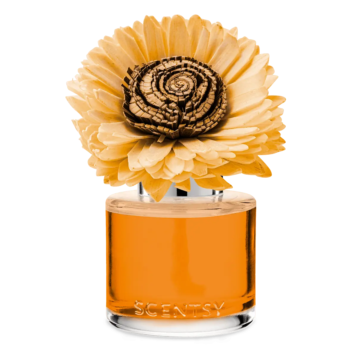 Spiced Pecan Creme Sunflower Scentsy Fragrance Flower