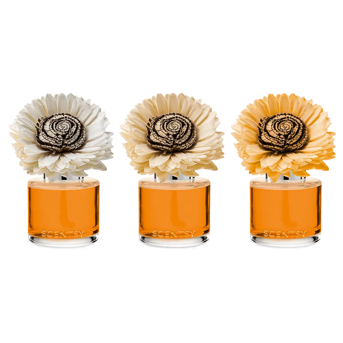 Spiced Pecan Creme Sunflower Scentsy Fragrance Flower