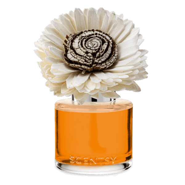 Spiced Pecan Creme Sunflower Scentsy Fragrance Flower