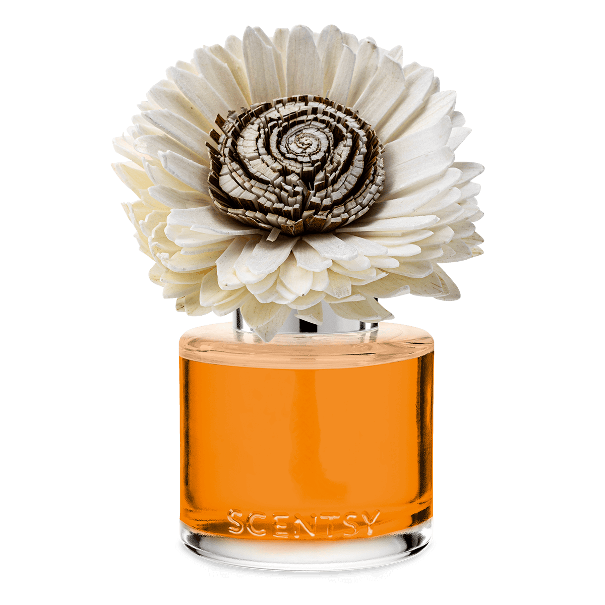 Spiced Pecan Creme Sunflower Scentsy Fragrance Flower