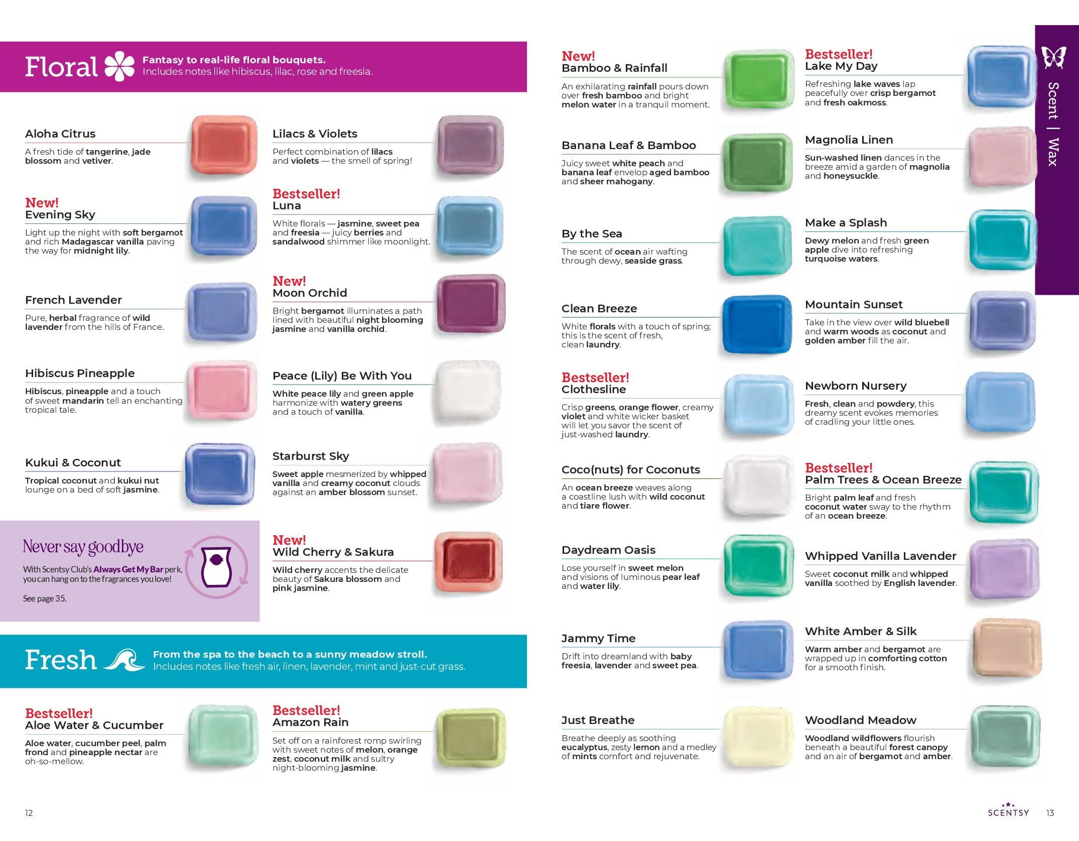 Scentsy Spring Summer 2024 Catalog Flipbook | Shop Now