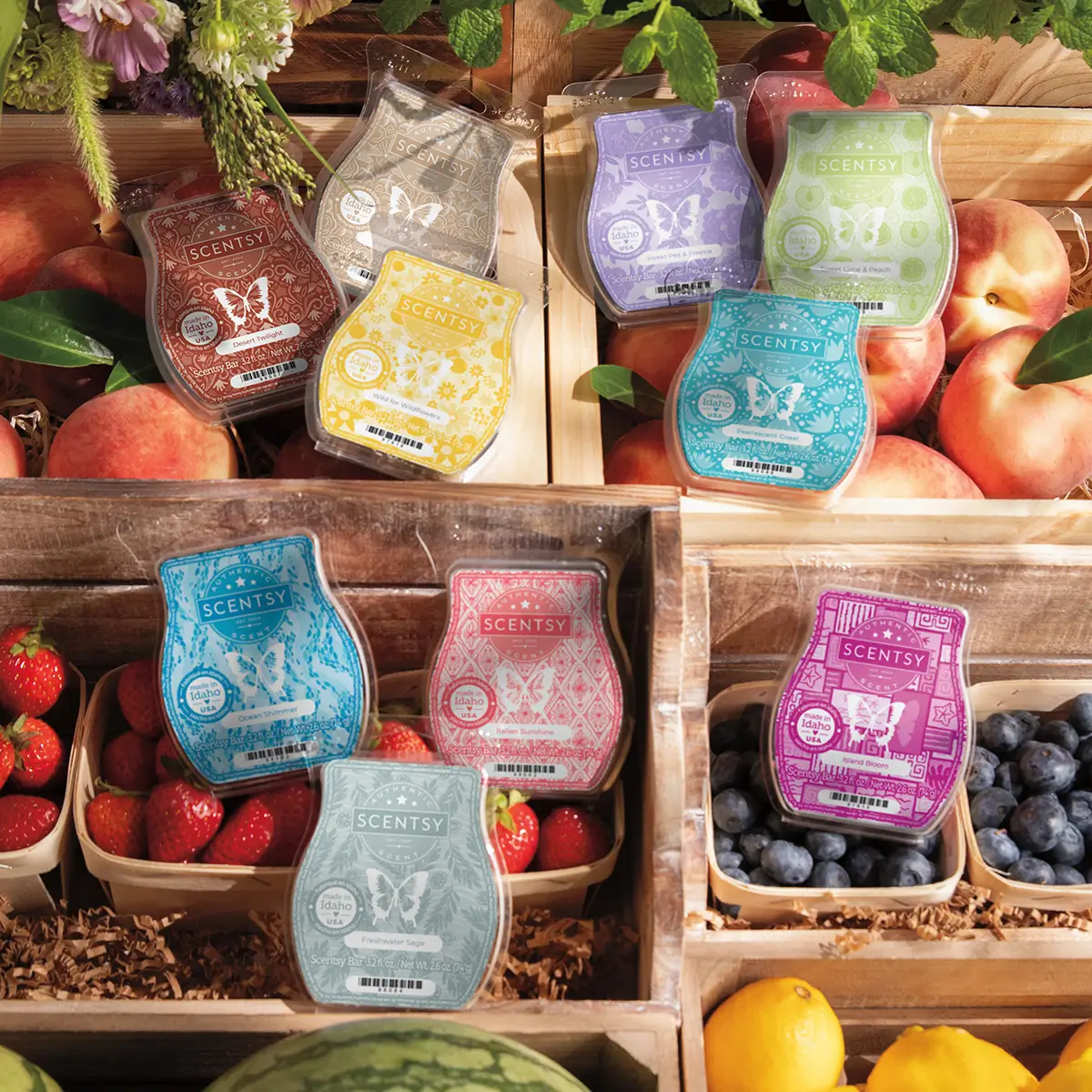 Scentsy Bars Shop Bestselling Wax Bars Fragrances Scentsy Bars Shop Bestselling Wax Bars Fragrances